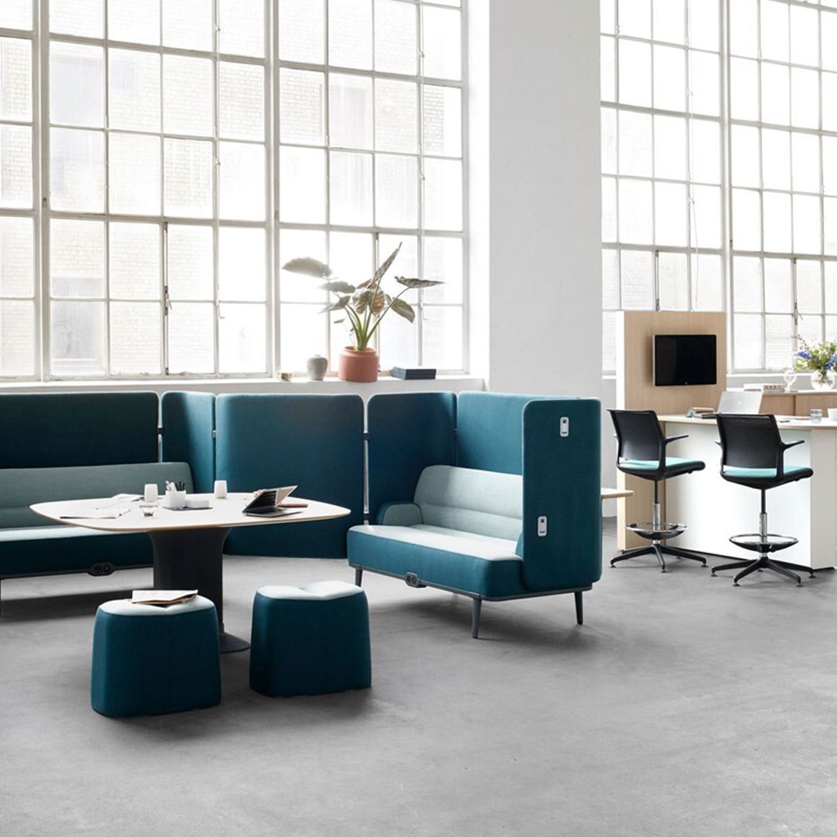 Bluesky Showcase Image