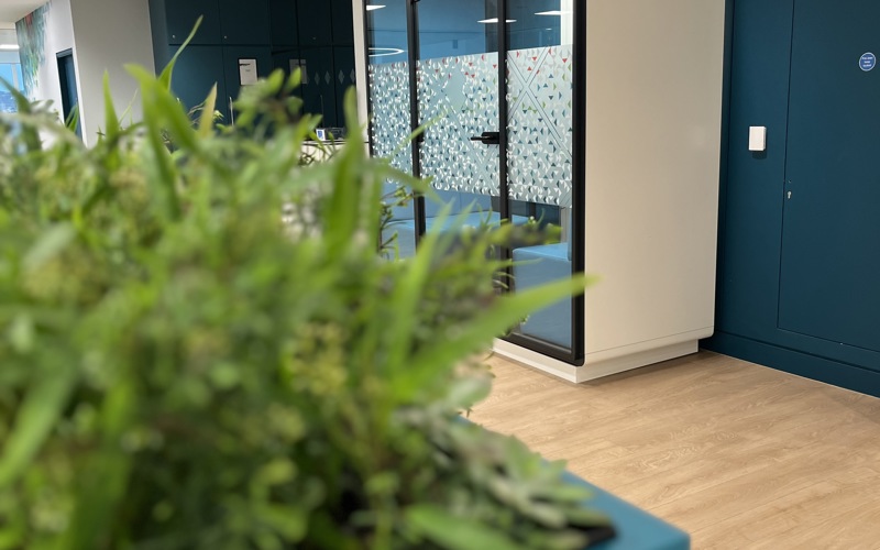 Aztec - IFC 6 - Jersey